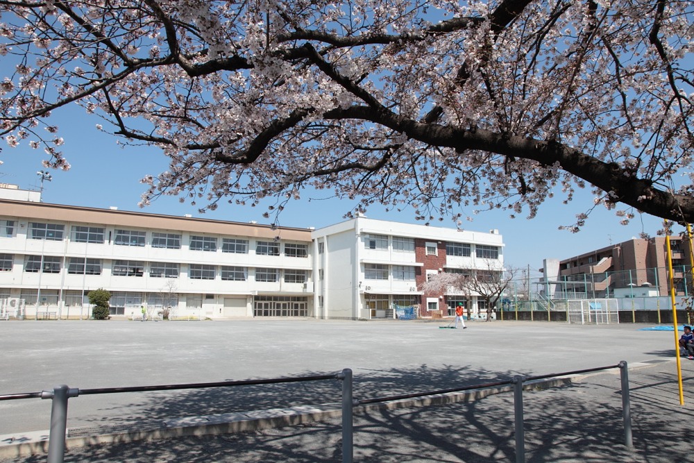 稲城市立稲城第四小学校の桜