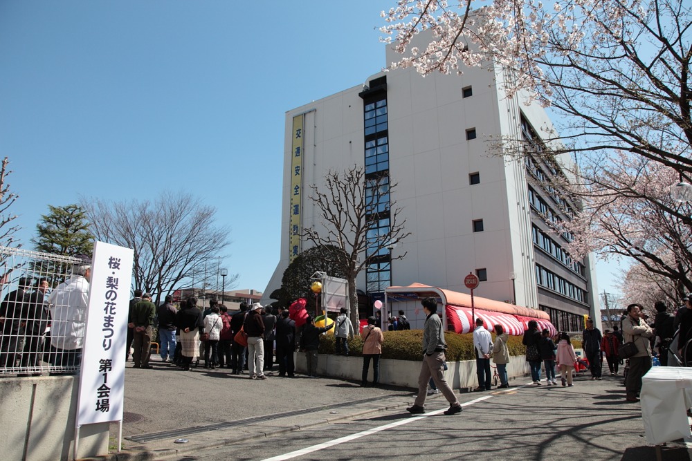 桜・梨の花まつり