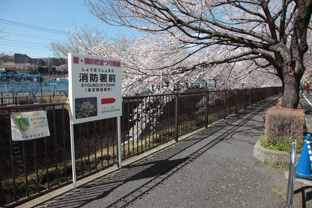 桜・梨の花まつり SL