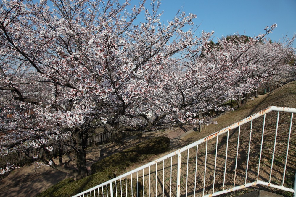 七曲見晴児童公園