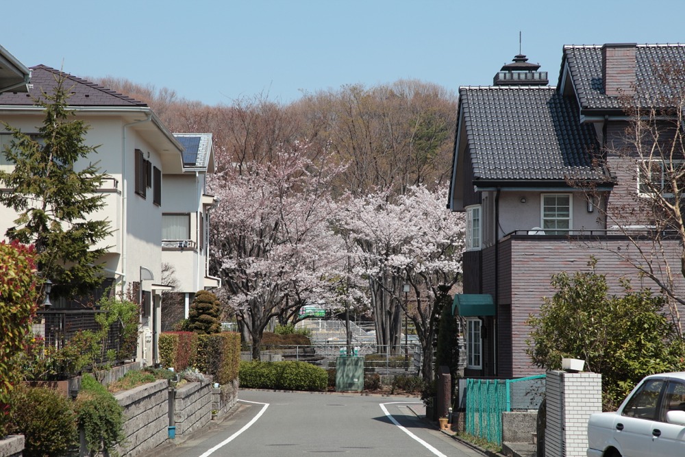 うしさん公園