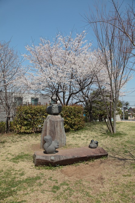 稲城市立中央図書館の桜の木