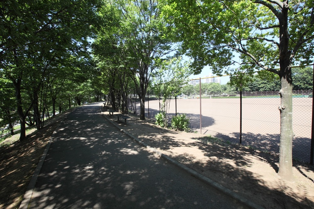 若葉台公園 野球場の周りの遊歩道