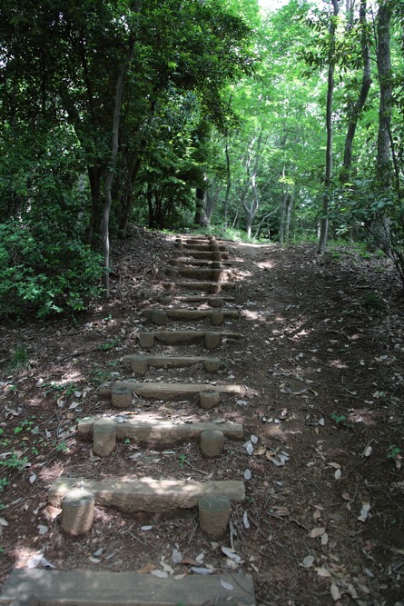 城山公園の散策路