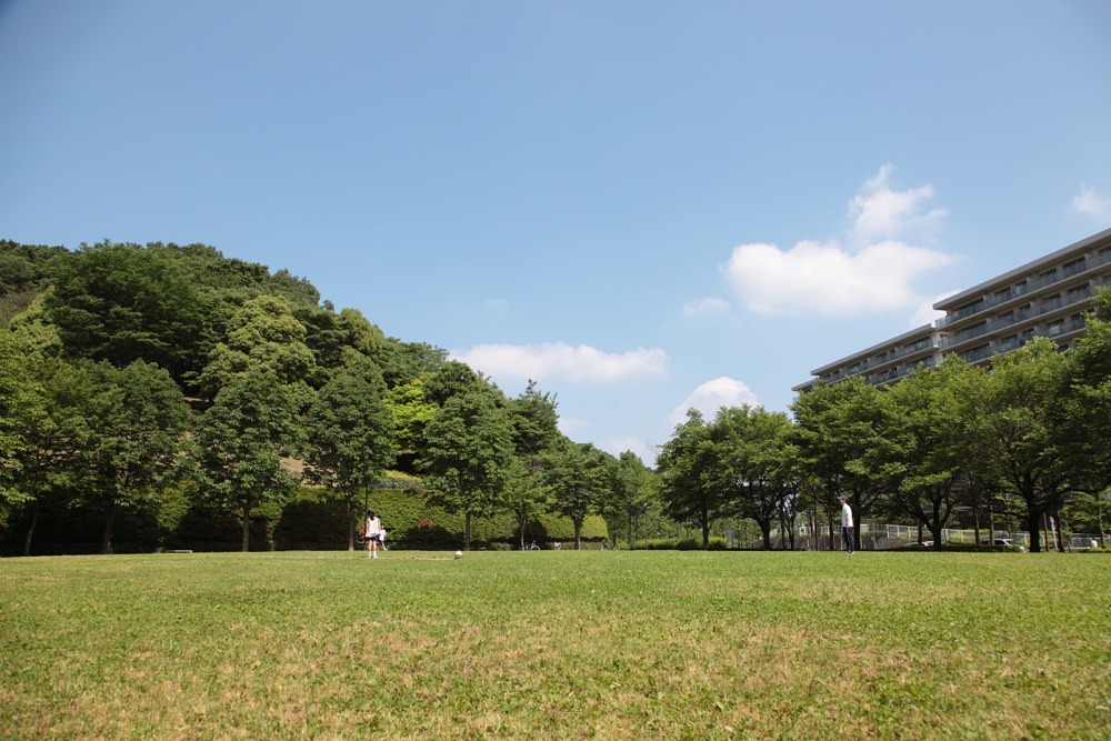 城山公園の広場