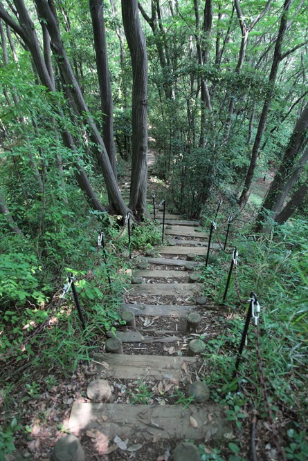 城山公園の散策路