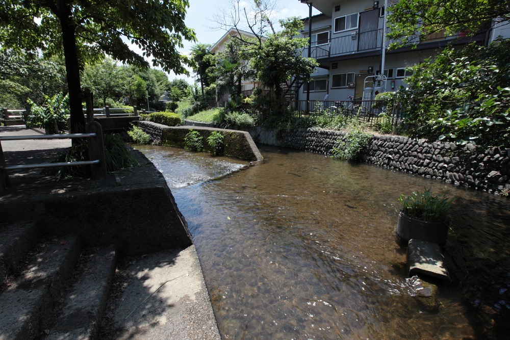 大丸用水の分岐点