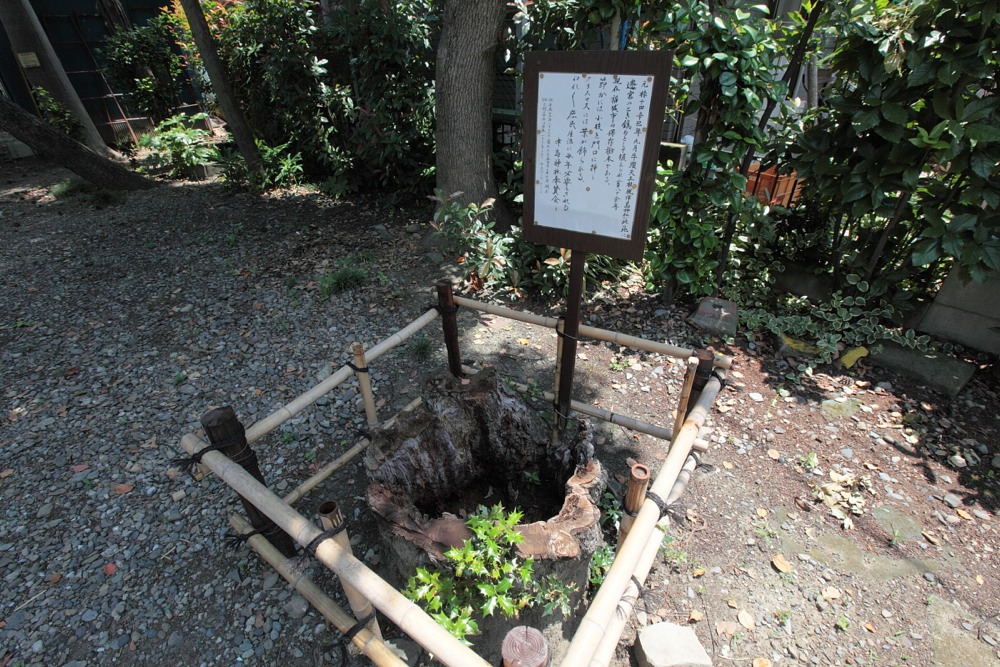 津島神社の鳥居