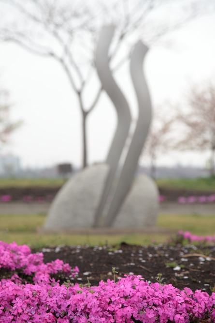 北緑地公園の芝桜