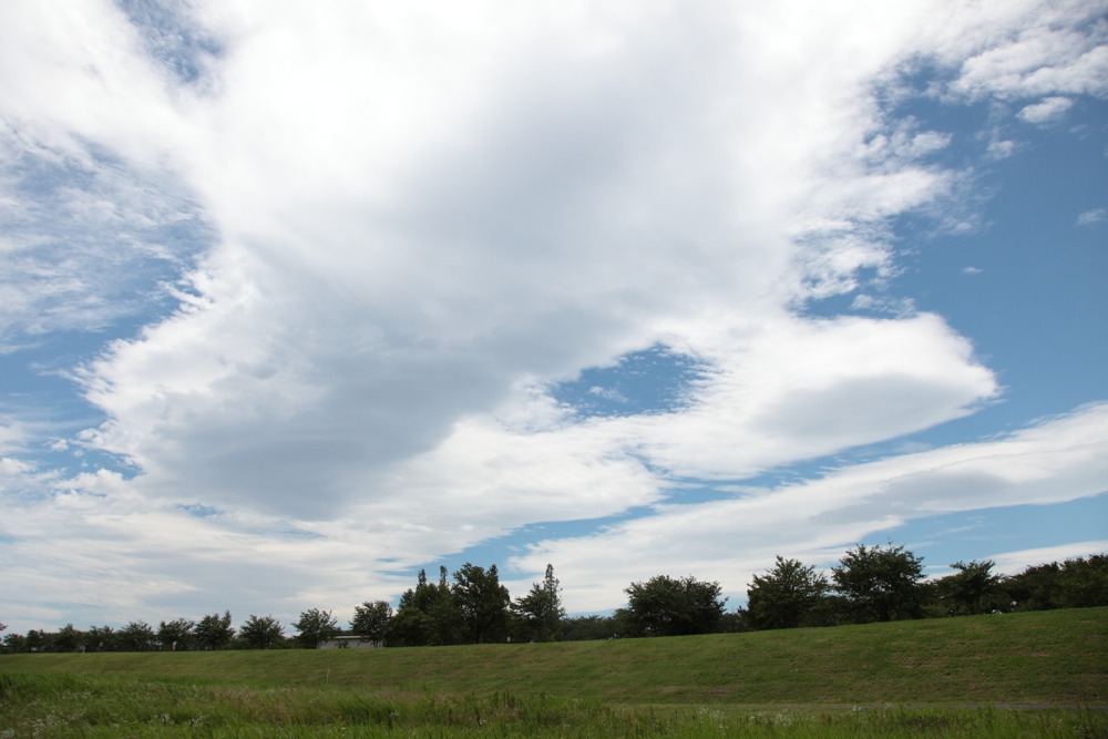 河原の草むらと空と雲