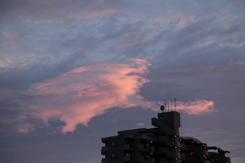 夕焼け