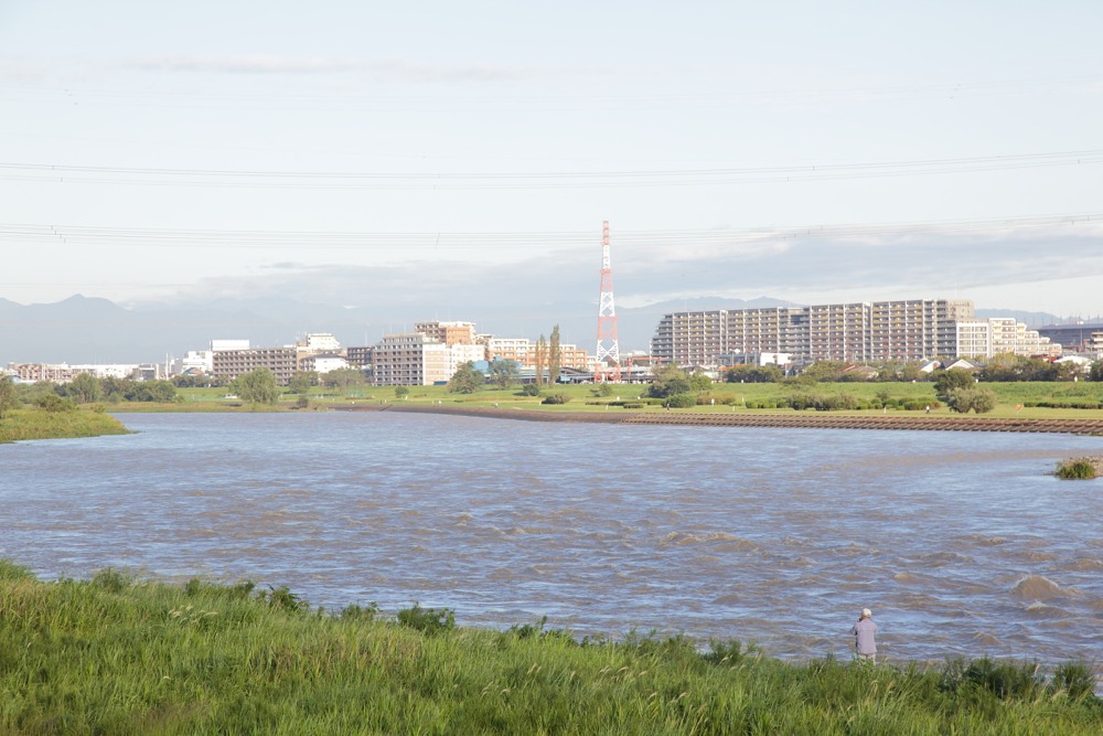 台風翌日の増水した多摩川