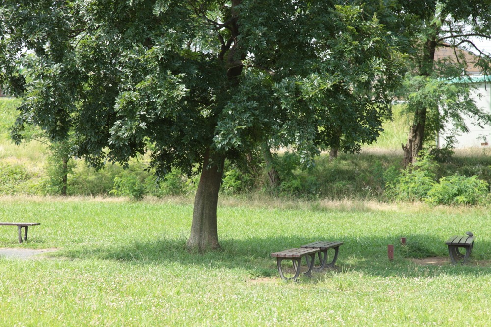 多摩川 緑地公園