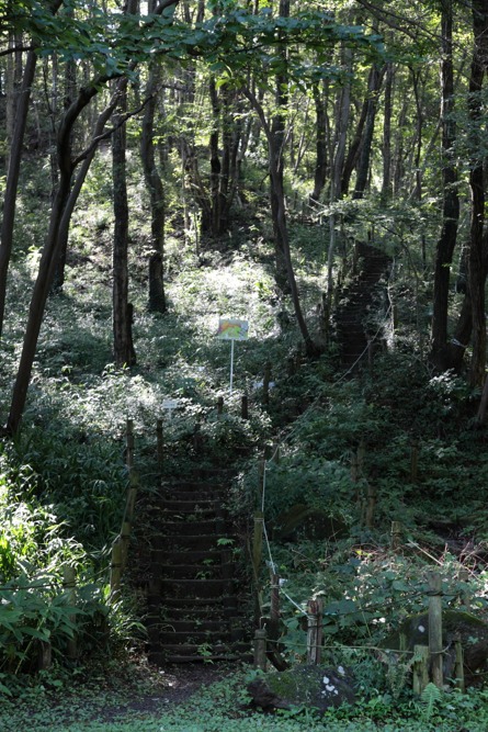 城山公園へ続く階段