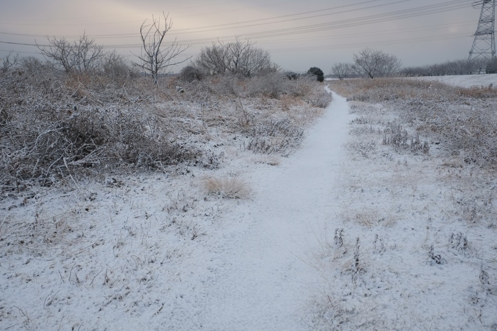 雪の日の多摩川河川敷