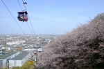 よみうりランドのゴンドラと桜