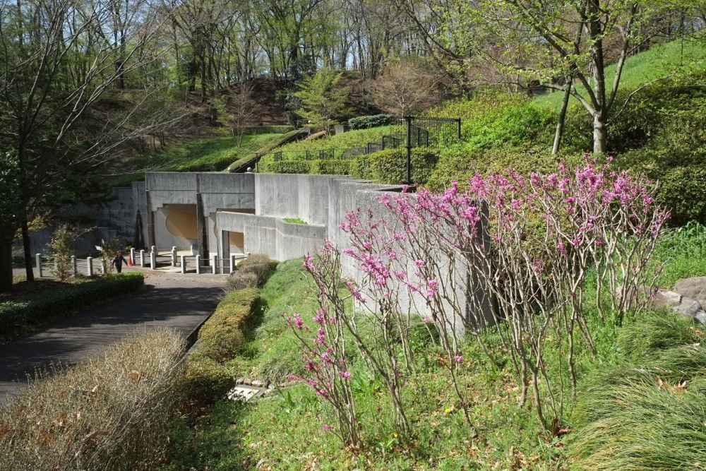 お花咲く稲城中央公園