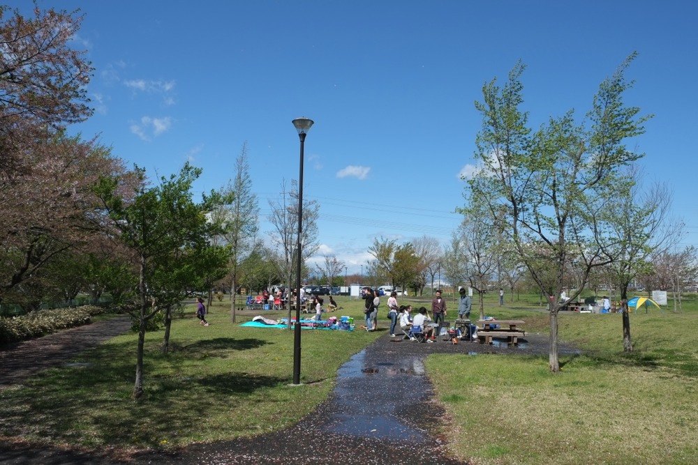 北緑地公園 お花見?バーベキュー