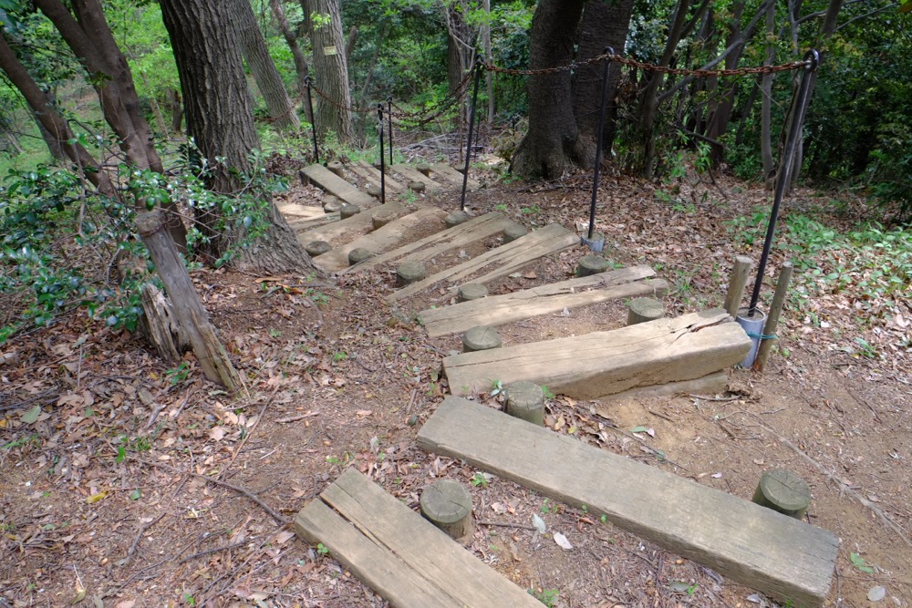 新緑の城山公園