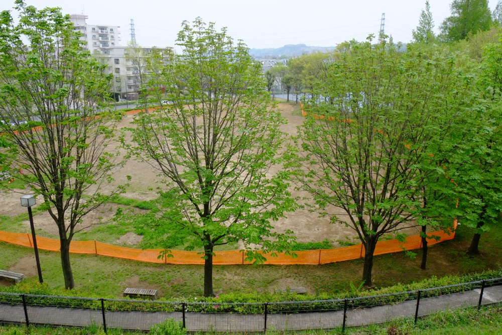 工事の終わった城山公園