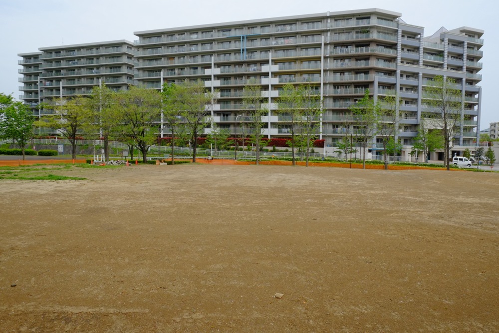 工事の終わった城山公園