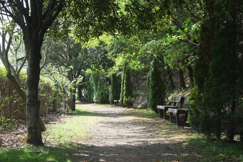 城山公園 新緑とベンチ