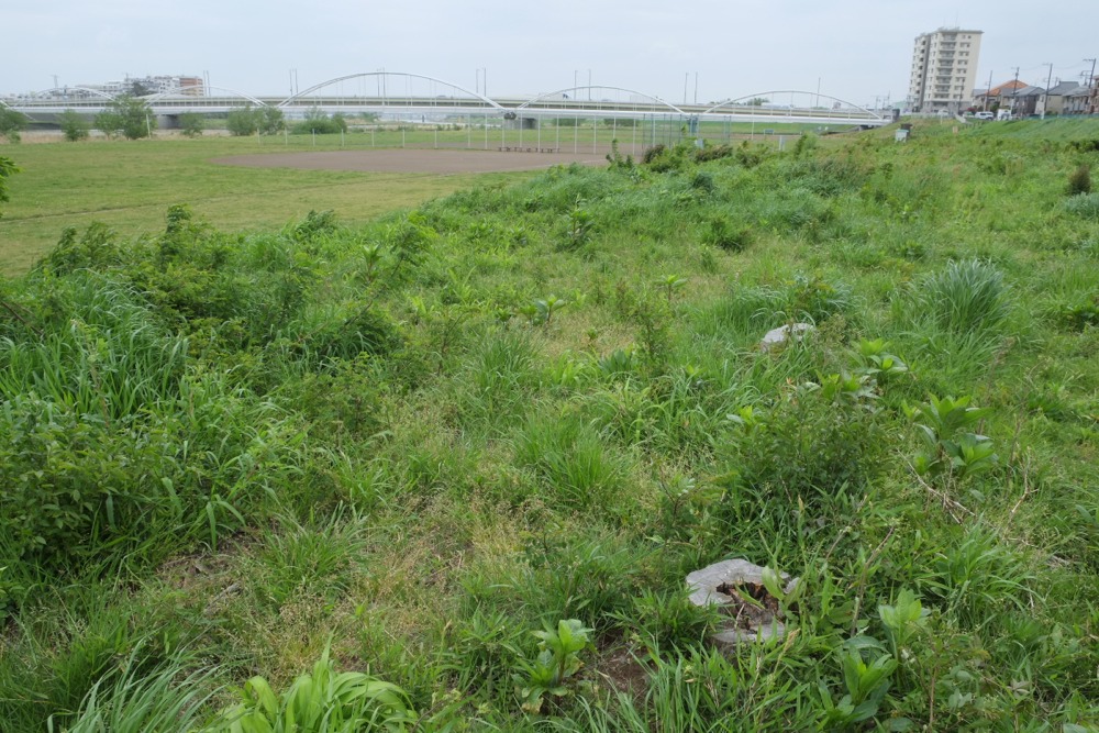 多摩川緑地公園