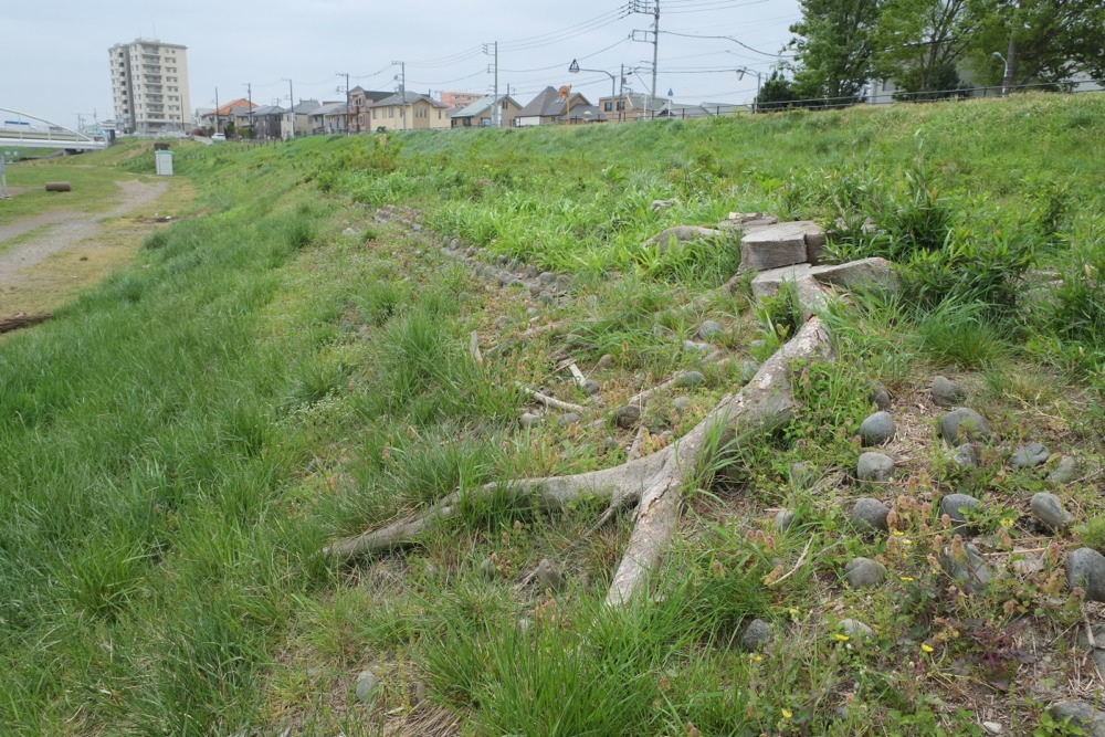 多摩川緑地公園