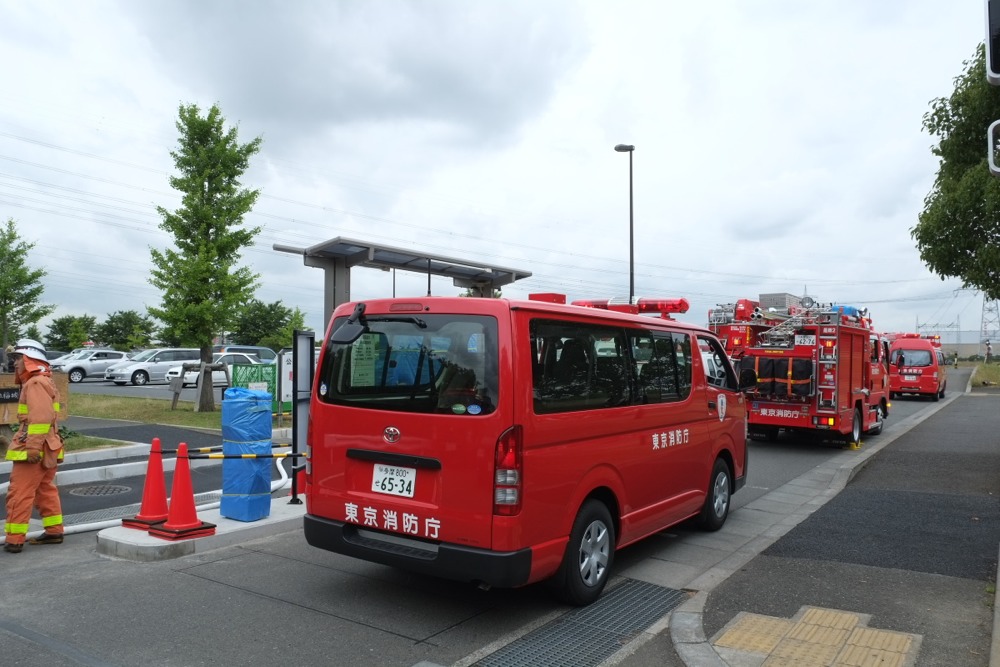 多摩川 枯草火災