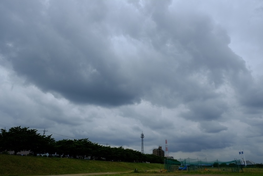 やっと梅雨らしい空