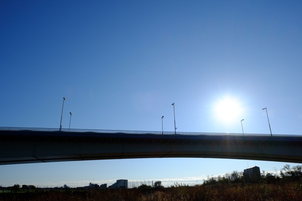 朝の稲城大橋