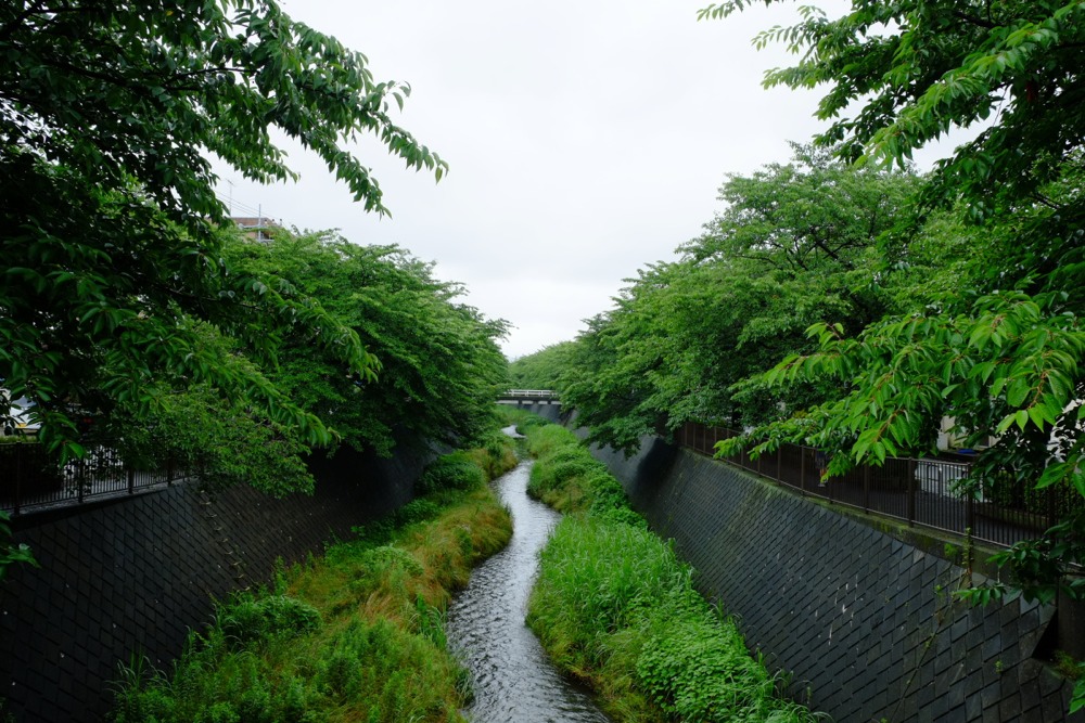 梅雨時の三沢川