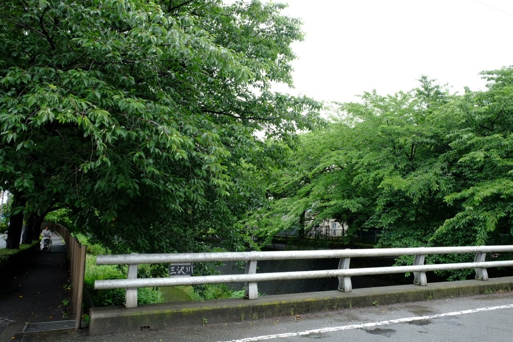 梅雨時の三沢川