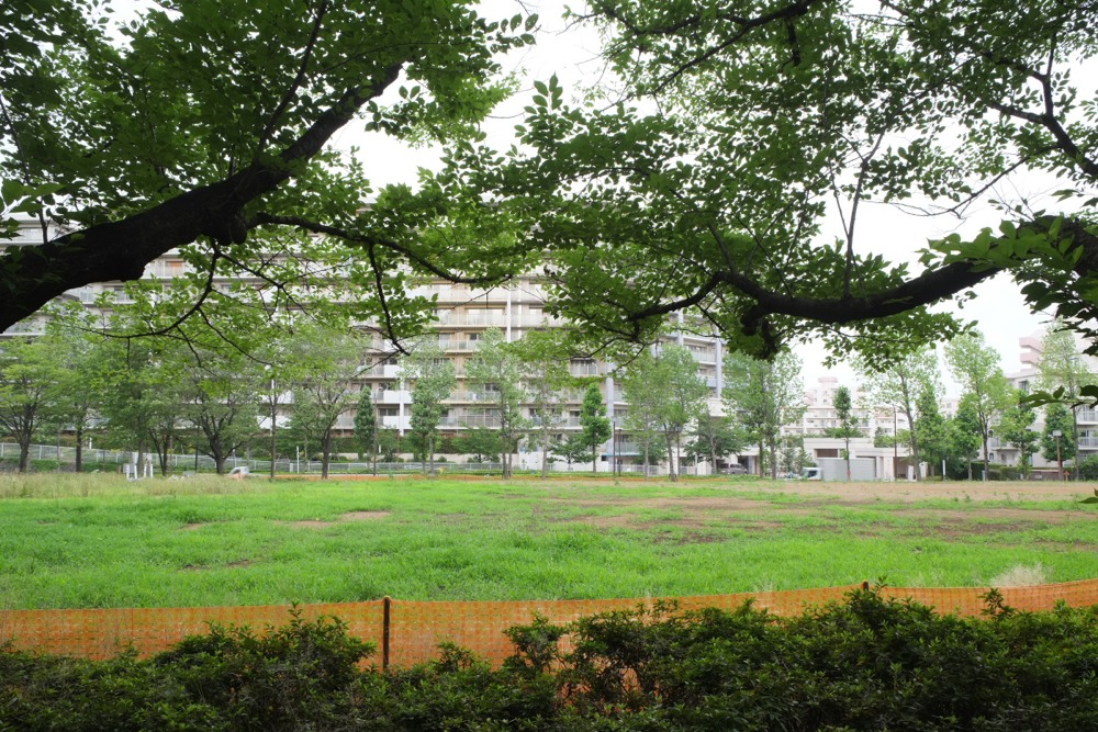 立ち入り禁止の城山公園