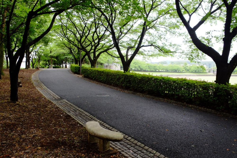 稲城中央公園