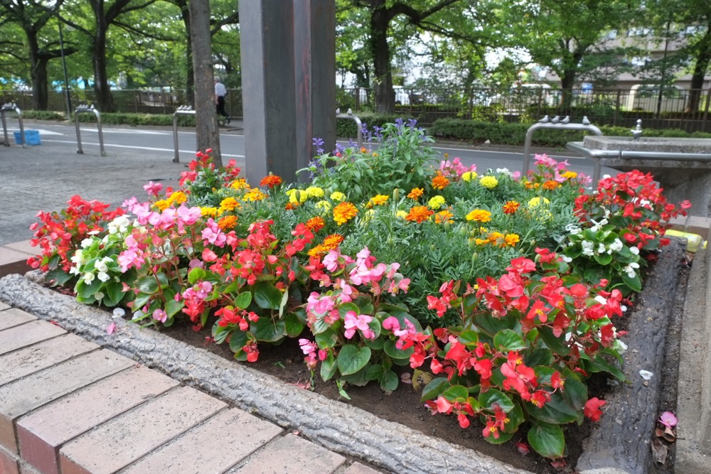 幸方公園の花壇