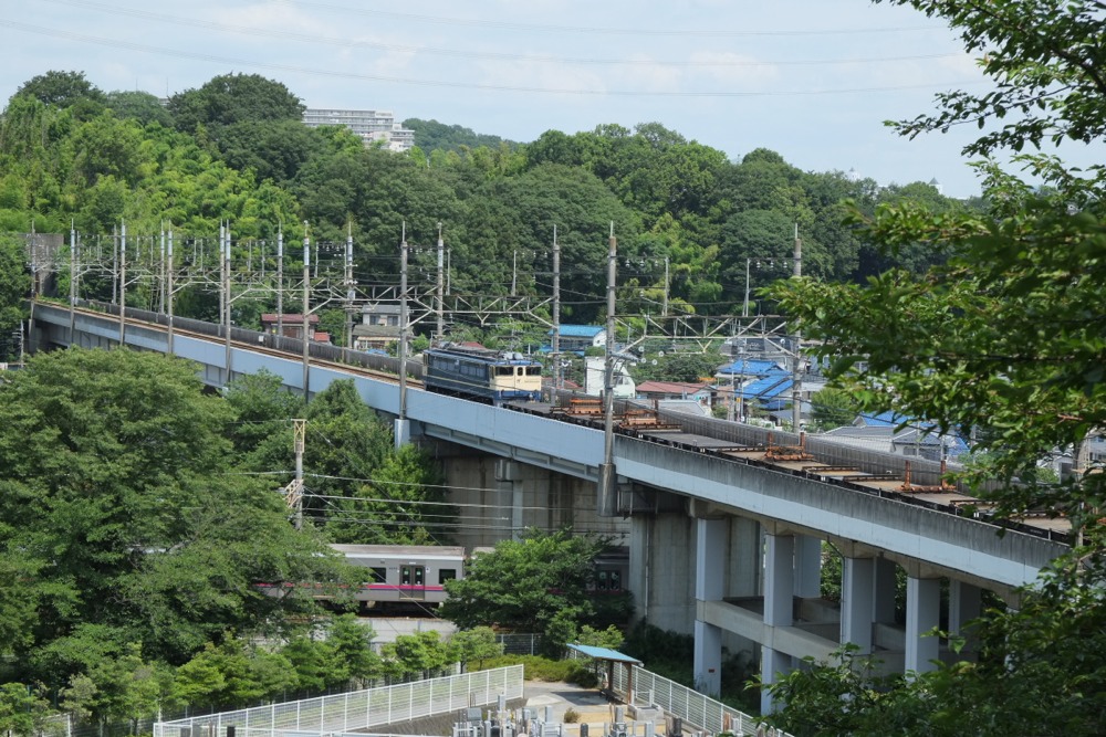 武蔵野貨物線を走る貨物列車