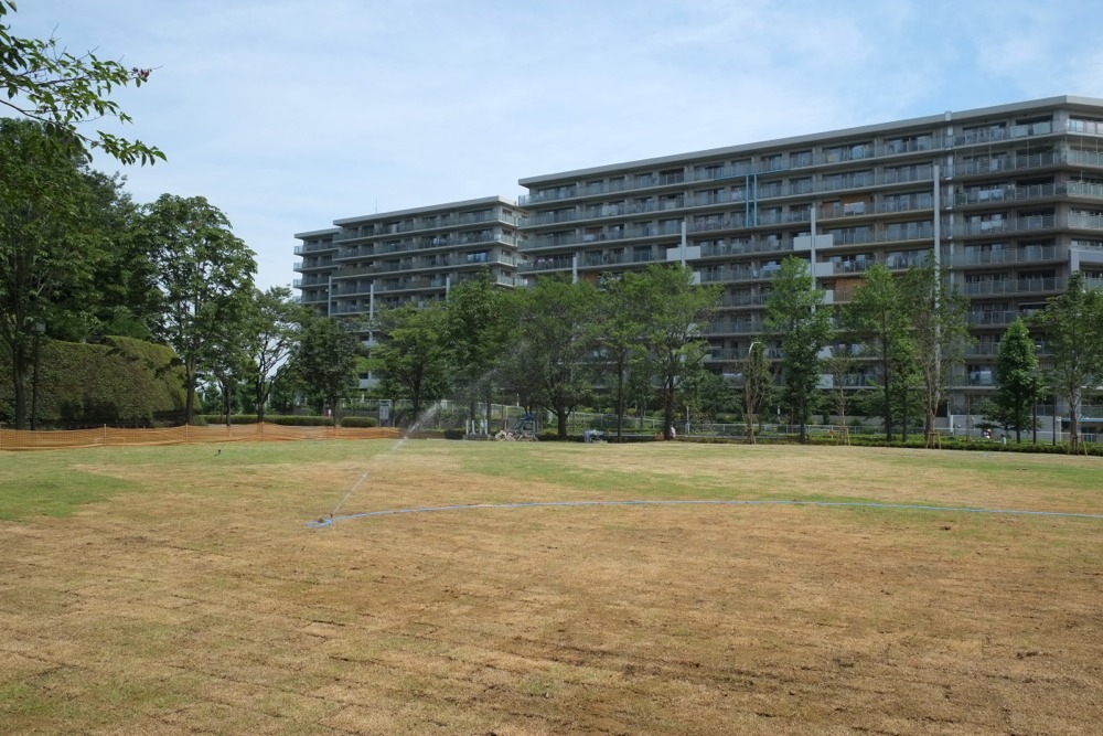 城山公園 芝生に水まき