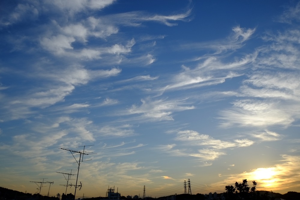 台風明けの夕方