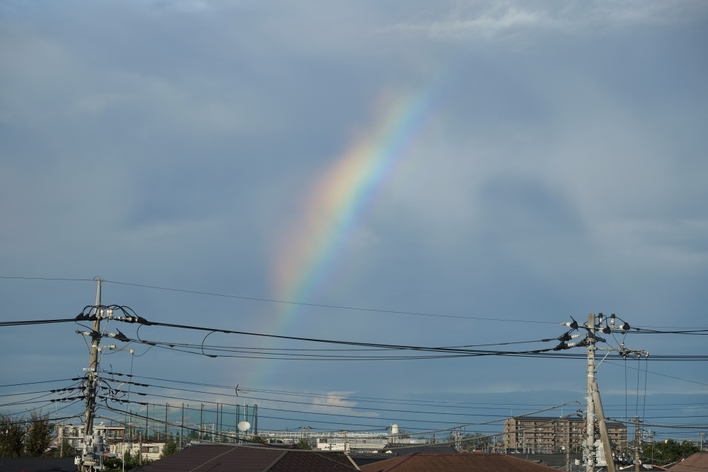 台風あけ