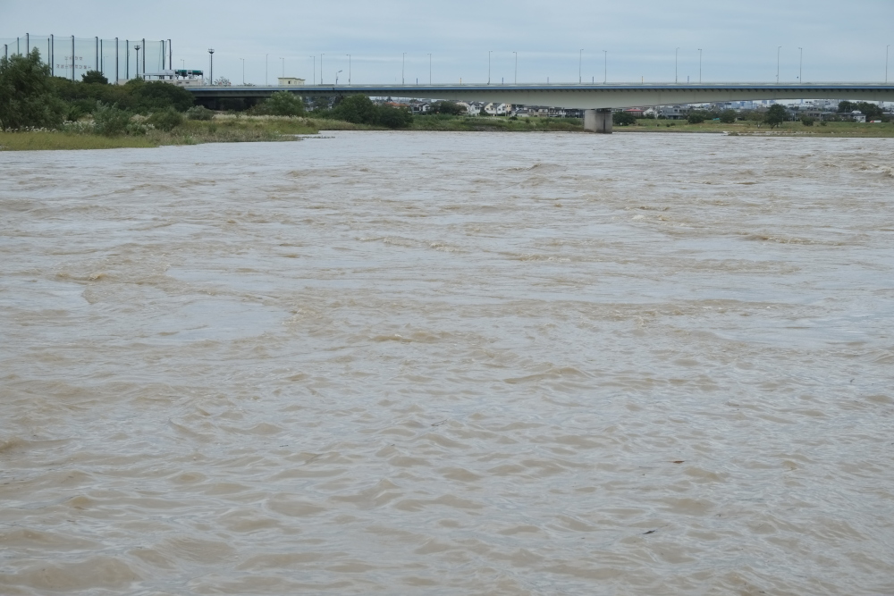 台風で増水した多摩川と稲城大橋