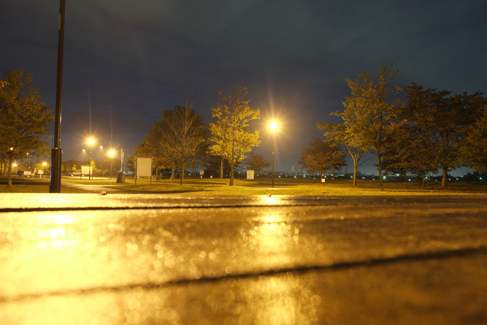 夜の北緑地公園