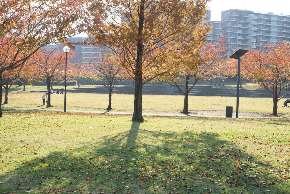 子供連れに嬉しい公園