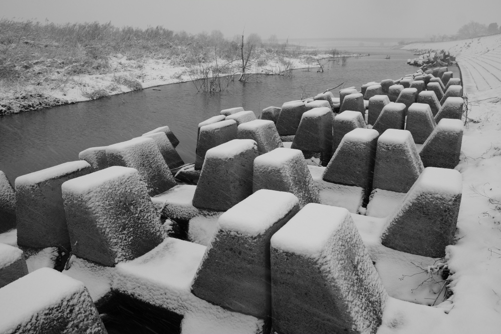 雪の多摩川