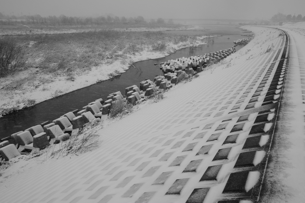 雪の多摩川