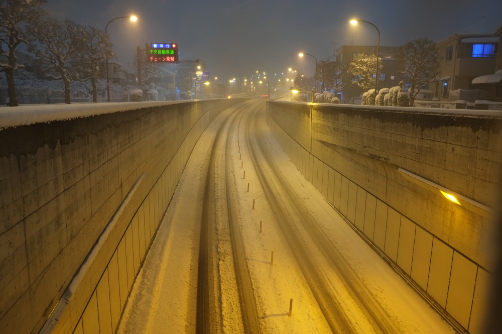 積雪20cmというところかな