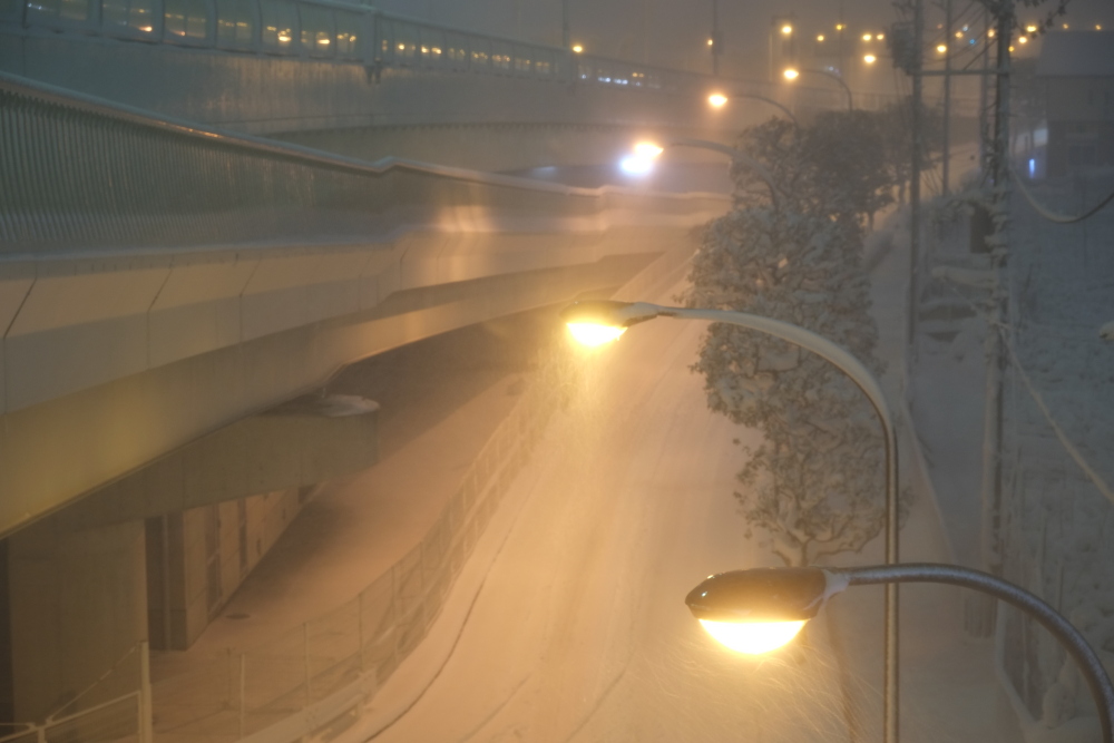 雪は大変、だけど綺麗