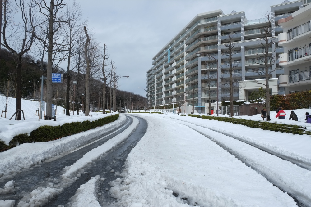 車で走るのは大変、歩きはもっと大変