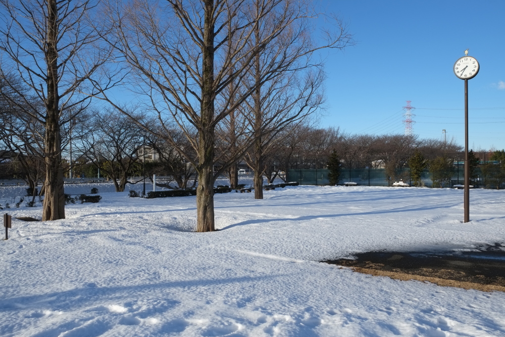 雪明けの朝