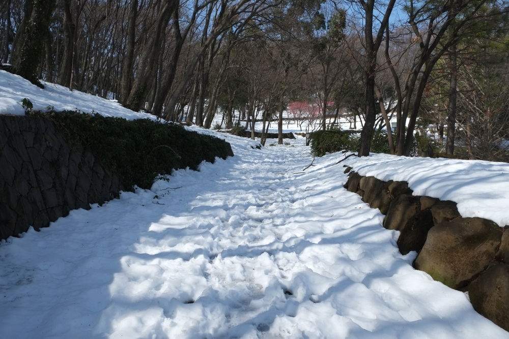 山の中へ